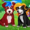 蓬松的拉布拉多幼犬沙龙