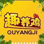 开心趣养鸡