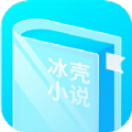冰壳小说下载安卓