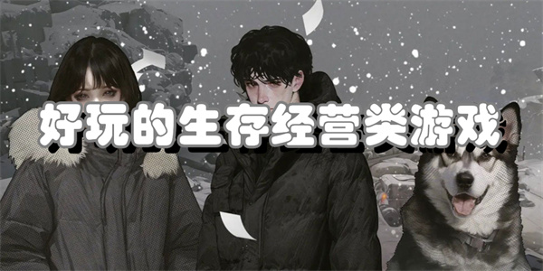 好玩的生存经营类游戏