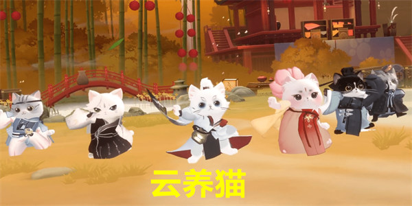 云养猫游戏