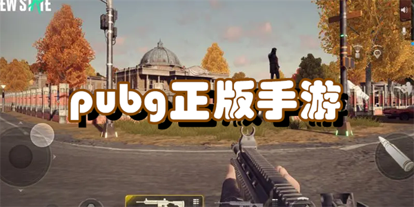 pubg正版手游