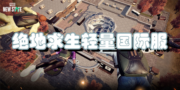 绝地求生轻量国际服