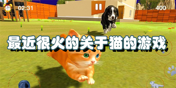 最近很火的关于猫的游戏