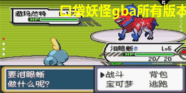 口袋妖怪gba所有版本