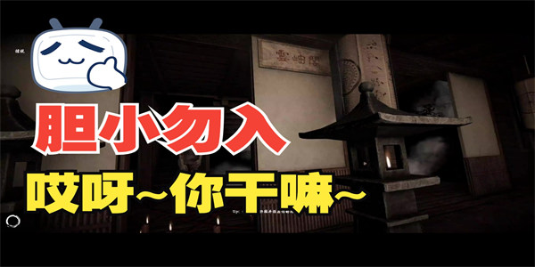 胆小勿进游戏