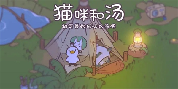 猫咪与汤