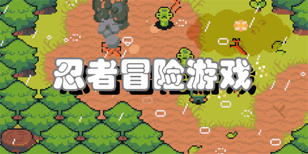 忍者冒险游戏