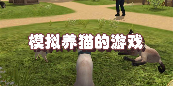 模拟养猫的游戏