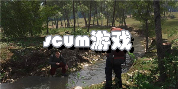 scum游戏版本合集