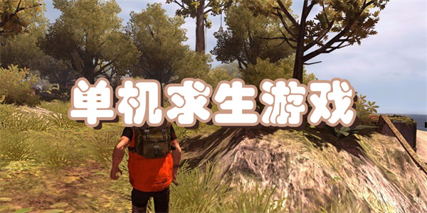 单机求生游戏