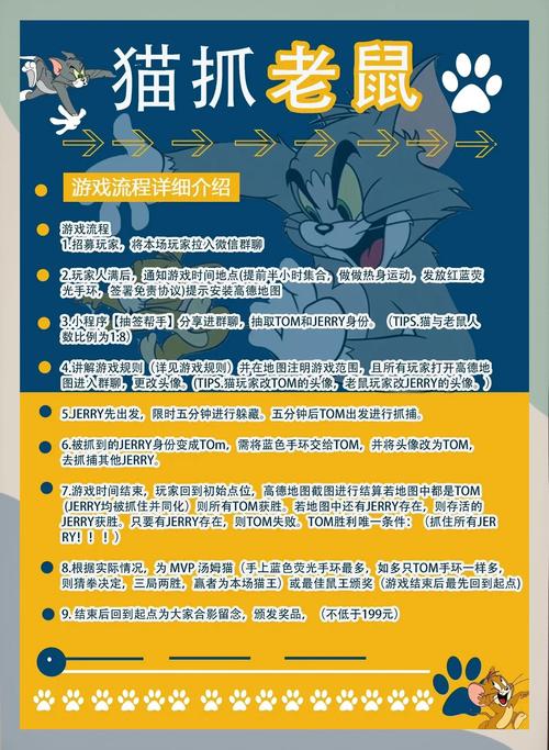猫和老鼠小游戏的魅力与玩法解析