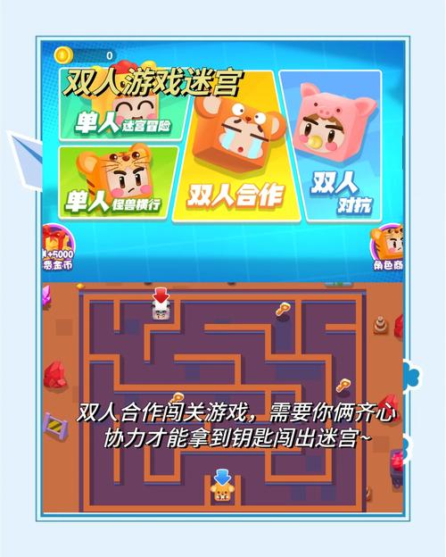 双人小游戏大全闯关，激发团队合作与策略思维的游戏盛宴