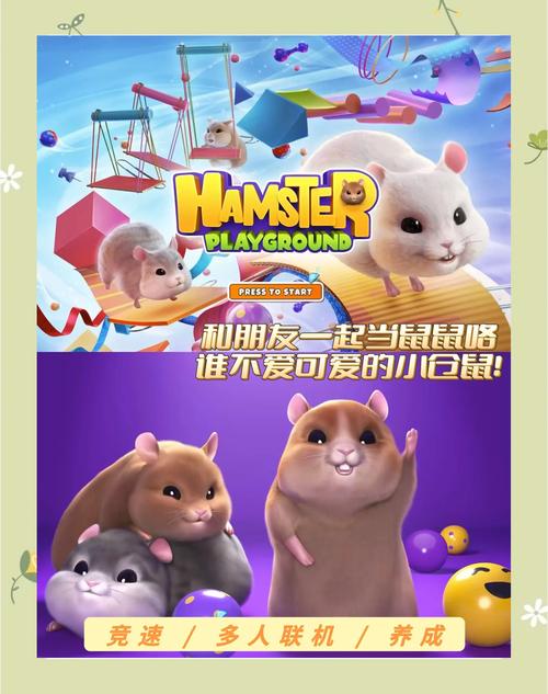 仓鼠乐园小游戏，探索快乐与智慧的新天地