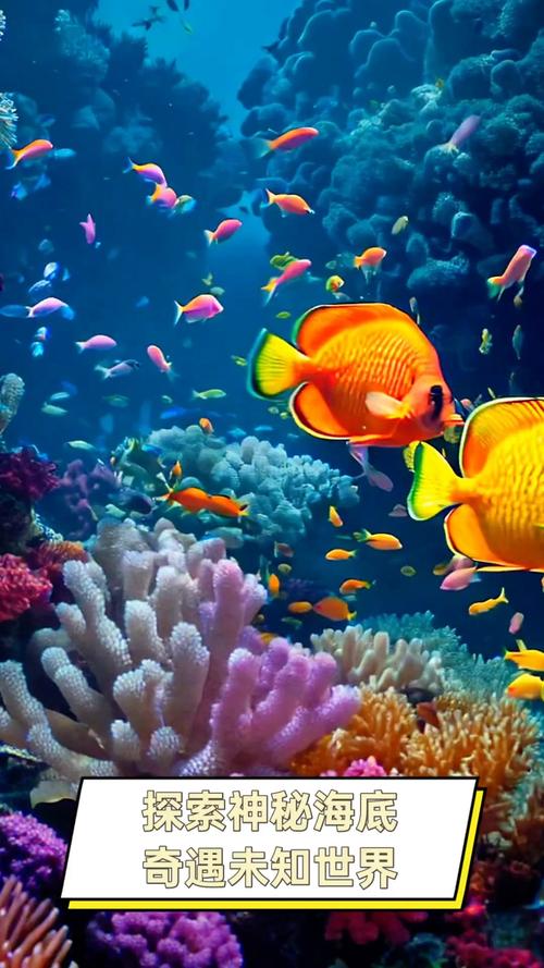 海底生物连连看，探索神秘海洋世界的乐趣