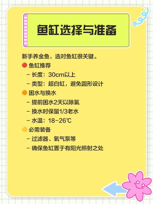 如何在家中轻松养活一条小金鱼？