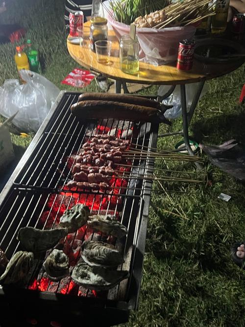 沙滩烤肉小游戏，打造夏日烧烤新体验
