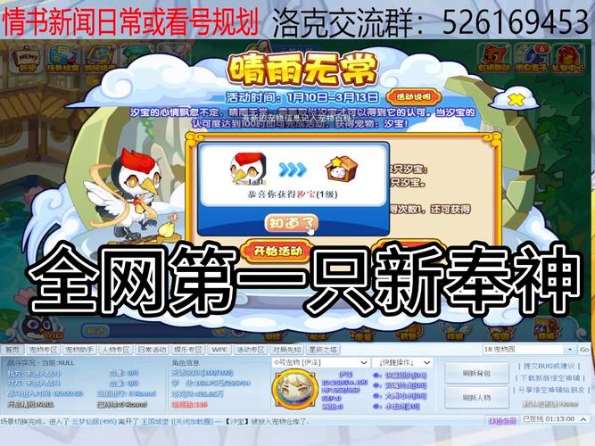 如何在洛洛克王国中获得高分？