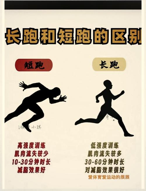 百米赛跑小游戏，激发你的运动热情与策略思维