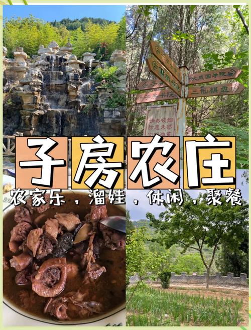 享受乡村生活，品味4399农家乐的魅力