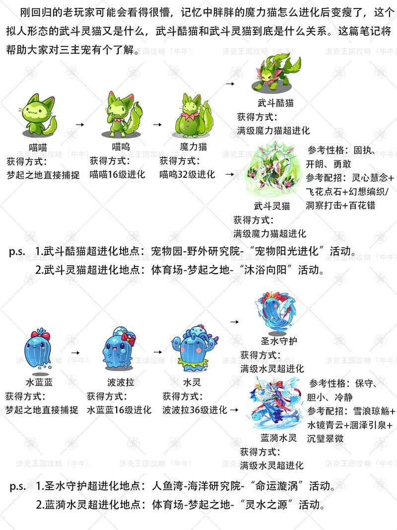 探秘，如何在洛克王国中迅速提升你的宠物等级！