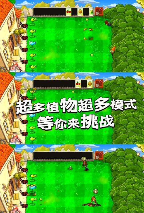 植物大战僵尸完整版，策略与技巧分享