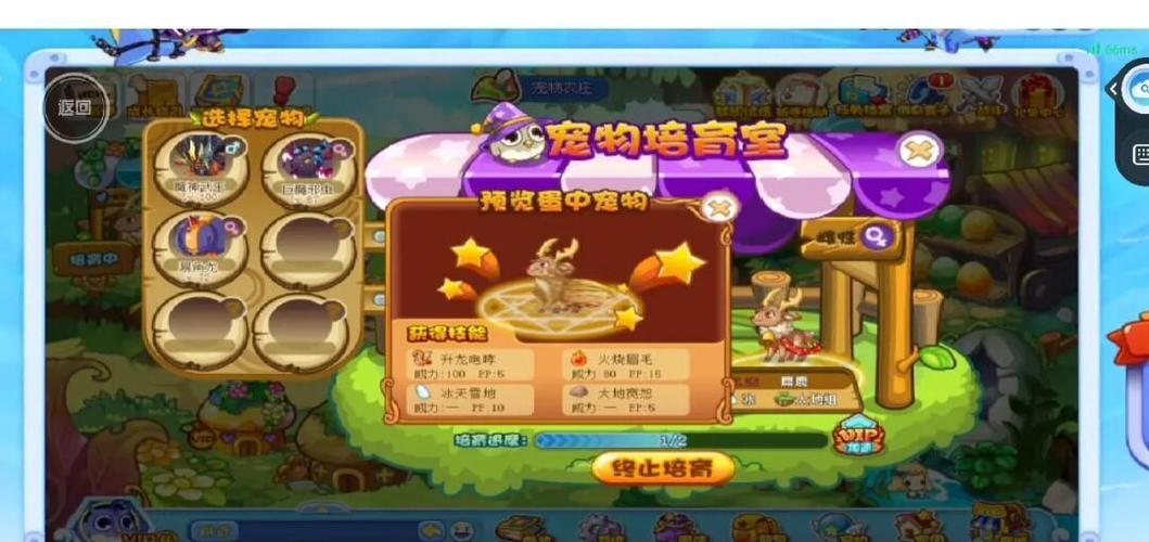 洛克王国宠物蛋，解锁无限乐趣的秘密宝物