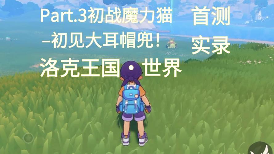 捕捉大耳帽兜在洛克王国中，攻略与技巧分享