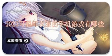 脱衣小游戏的魅力与挑战