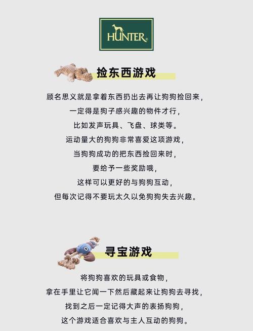 狗狗小游戏，让你与宠物共度欢乐时光