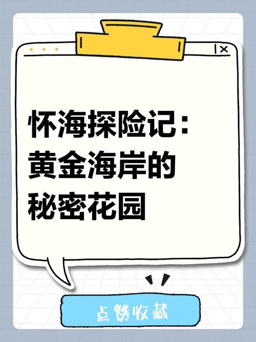 双人挖掘黄金的秘密之旅