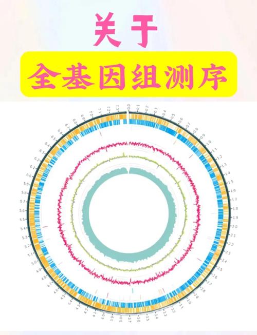 DNA小游戏，探索生命的奥秘，提升科学素养