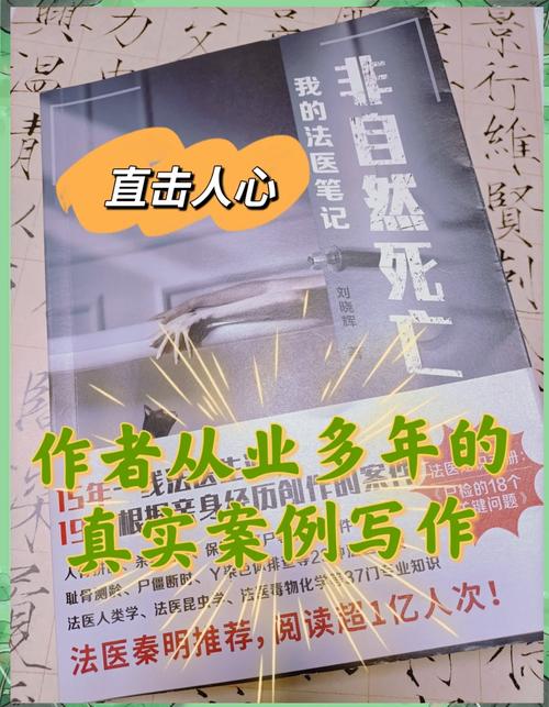 胡侦探，揭秘悬疑世界中的智者与谜团