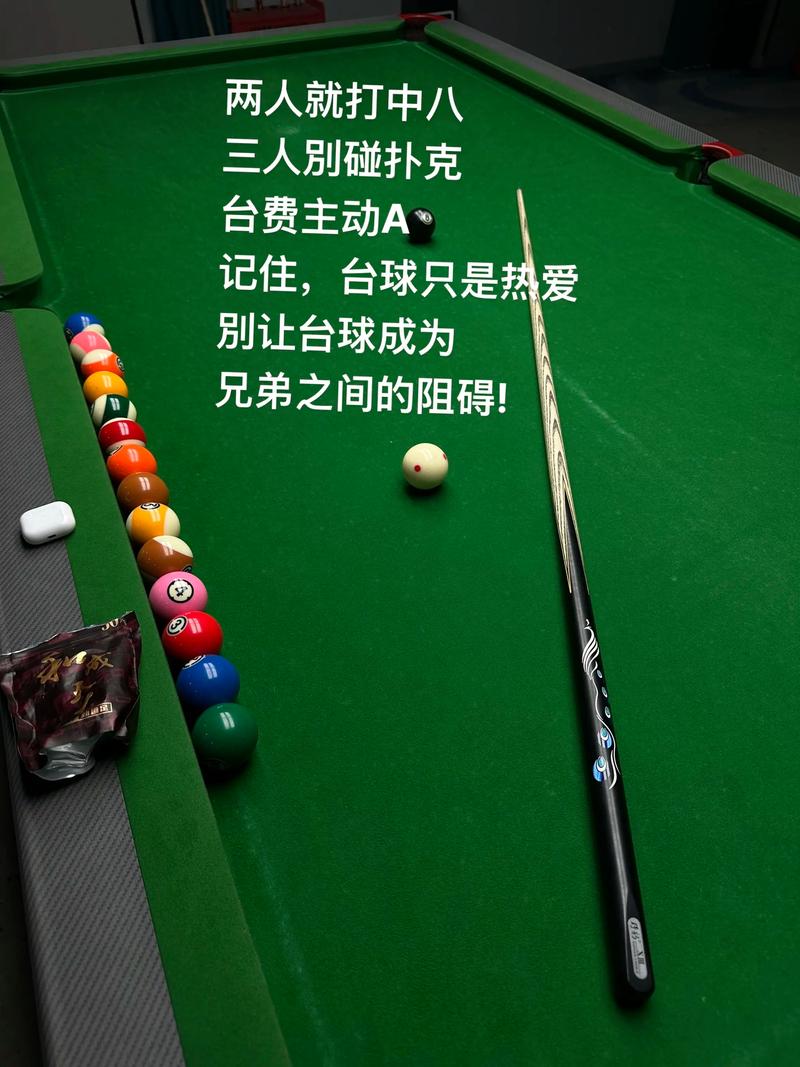 双人桌球的魅力与益处，一项健康、有趣的运动选择