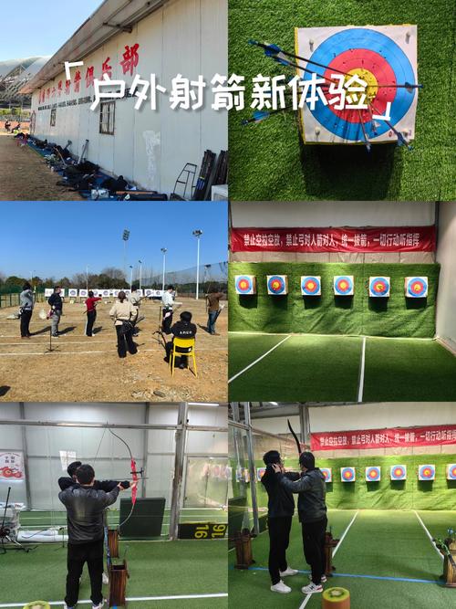 体育游戏，释放激情与挑战的游戏天堂