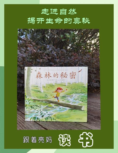 森林崎岖之地—探索祖玛的秘密