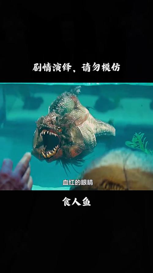 恐怖食人鱼，隐藏在水中的黑暗威胁