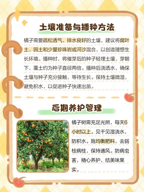 拯救橙子，探索如何养护与种植优质橙子的秘密