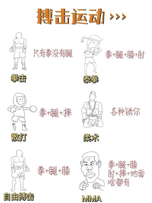 小小格斗6，经典动作与现代技巧的完美融合