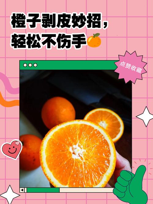 橙子拯救计划，如何用科学方法提升你的橙子产量与品质