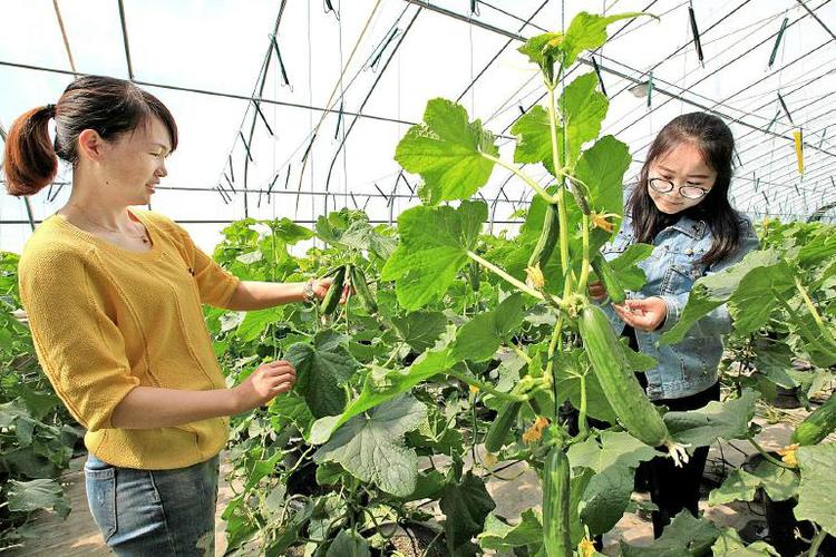 疯狂农场之养鱼大亨，打造绿色生态，体验养殖乐趣