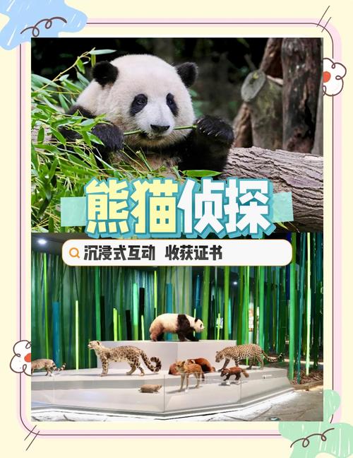 熊猫大冒险，探索大自然中的奇妙旅程