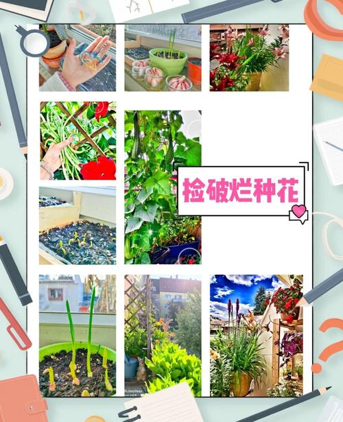 如何玩转种花游戏，打造完美花园体验