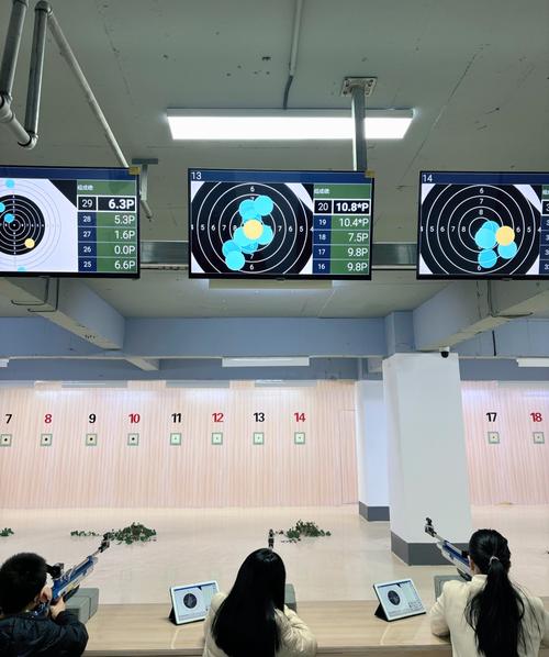 环形射击，一种独特且令人兴奋的游戏体验