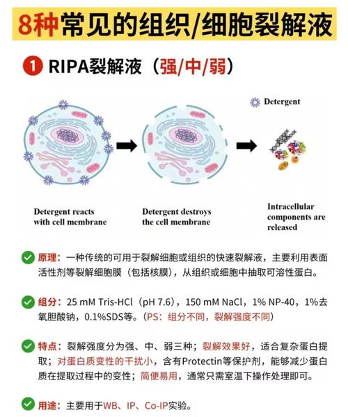 血浆爆裂，科学解密与临床应用