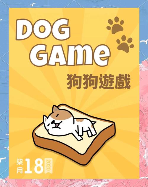 狗狗游戏，培养宠物狗快乐生活的秘密武器