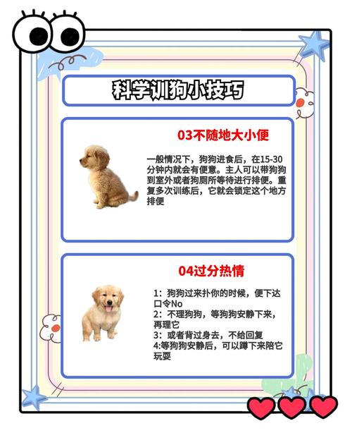 如何玩转养狗小游戏，培养宠物的乐趣与技巧