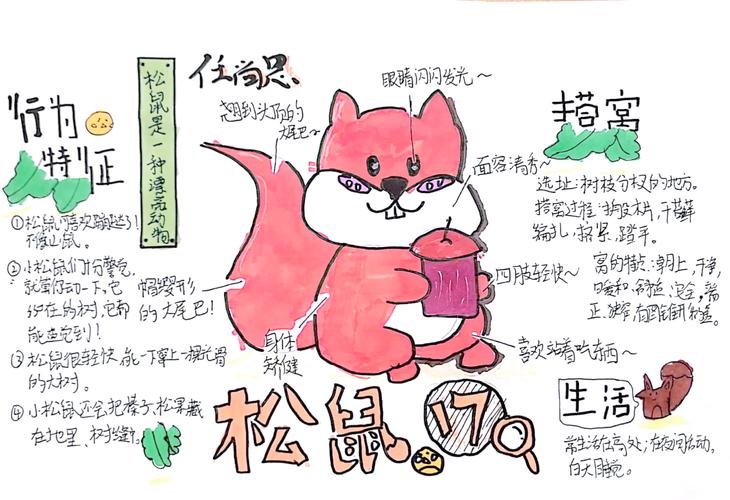 如何利用松鼠推箱子来增强您的创意思维？