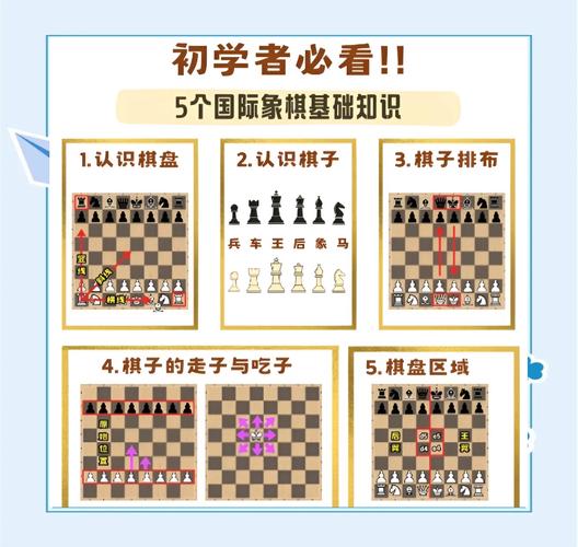 深入探索，战斗版国际象棋的魅力与挑战