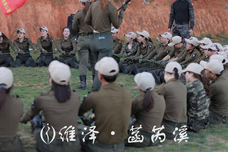 小马森林挑战赛，激发创意与团队协作的新冒险